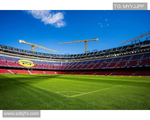 卡科普：从球场新星到足坛传奇的崛起与挑战